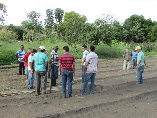 Projeto de Revitalização do Alho Realizou Capacitação - Imagem 60