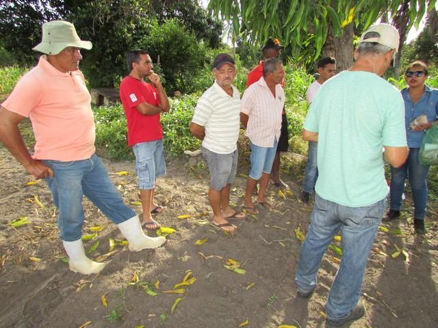 Projeto de Revitalização do Alho Realizou Capacitação - Imagem 23