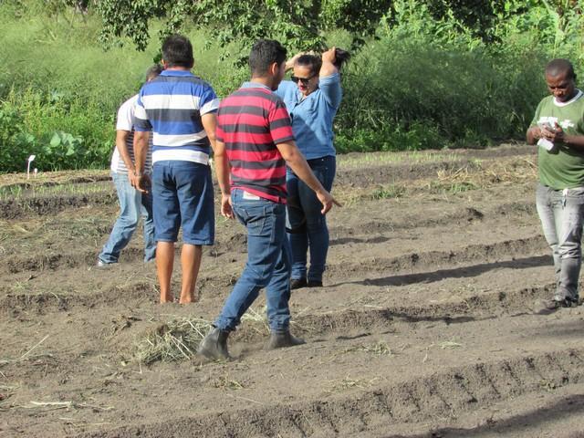 Projeto de Revitalização do Alho Realizou Capacitação - Imagem 55