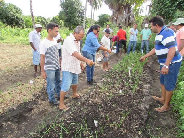 Projeto de Revitalização do Alho Realizou Capacitação - Imagem 48