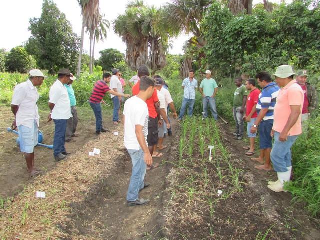 Projeto de Revitalização do Alho Realizou Capacitação - Imagem 46