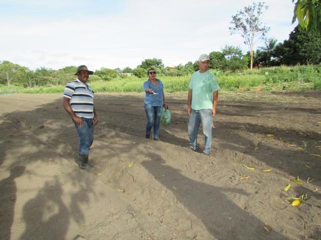 Projeto de Revitalização do Alho Realizou Capacitação - Imagem 27