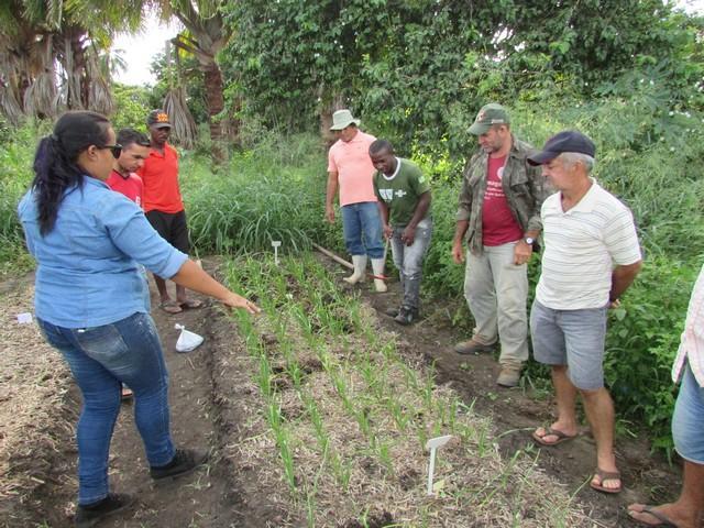Projeto de Revitalização do Alho Realizou Capacitação - Imagem 37