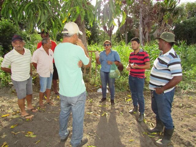 Projeto de Revitalização do Alho Realizou Capacitação - Imagem 22