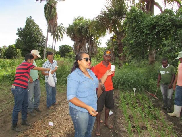 Projeto de Revitalização do Alho Realizou Capacitação - Imagem 36
