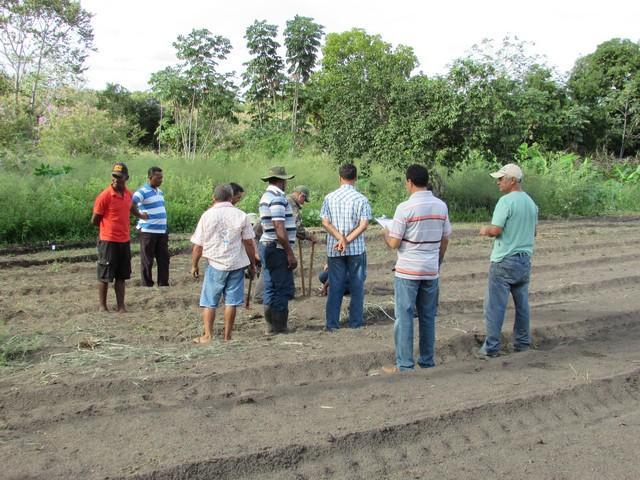 Projeto de Revitalização do Alho Realizou Capacitação - Imagem 59