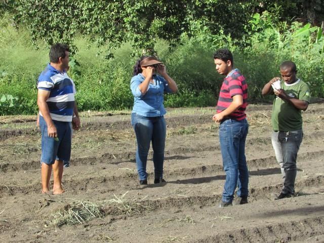 Projeto de Revitalização do Alho Realizou Capacitação - Imagem 56