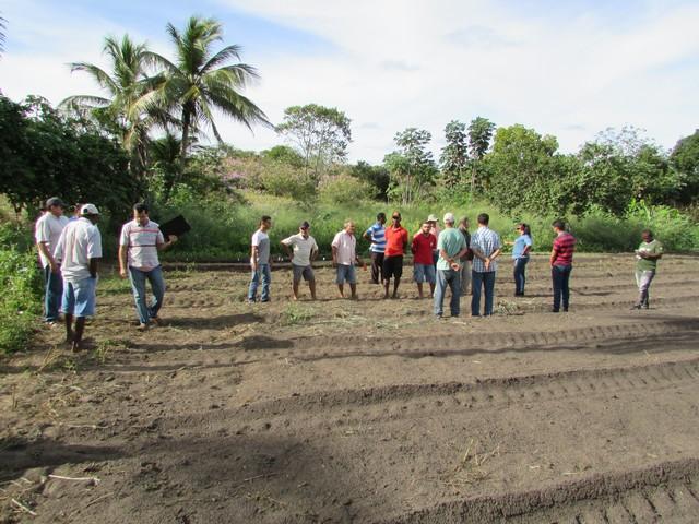 Projeto de Revitalização do Alho Realizou Capacitação - Imagem 58