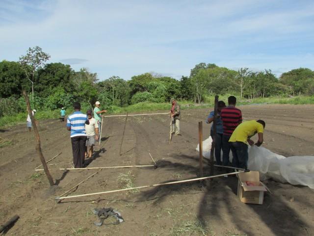 Projeto de Revitalização do Alho Realizou Capacitação - Imagem 78