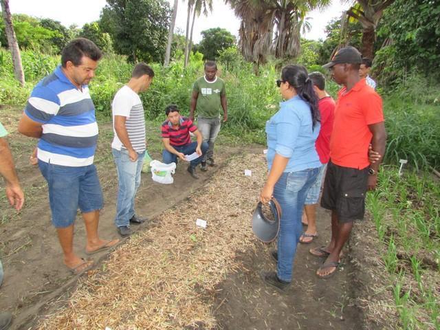Projeto de Revitalização do Alho Realizou Capacitação - Imagem 33
