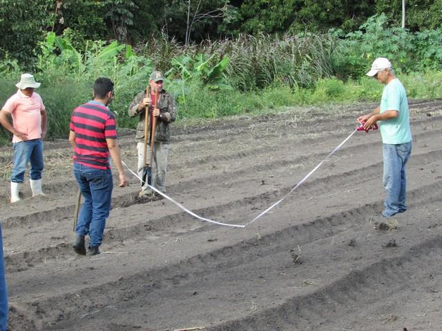 Projeto de Revitalização do Alho Realizou Capacitação - Imagem 61