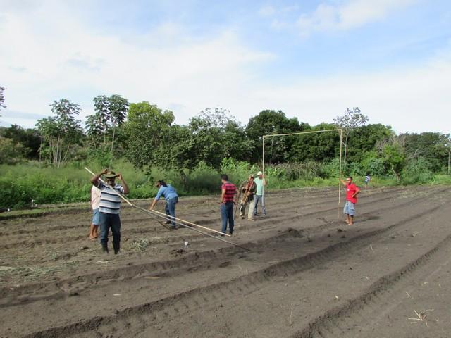 Projeto de Revitalização do Alho Realizou Capacitação - Imagem 67