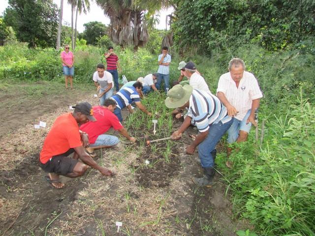 Projeto de Revitalização do Alho Realizou Capacitação - Imagem 40