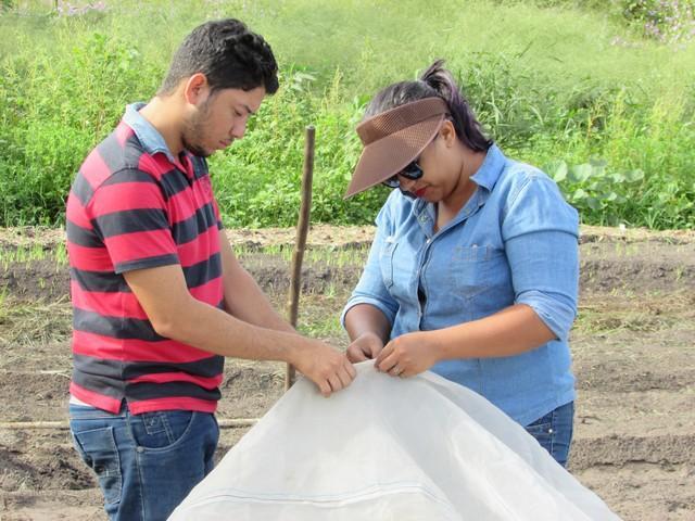 Projeto de Revitalização do Alho Realizou Capacitação - Imagem 71