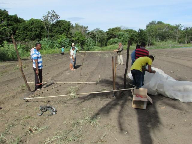 Projeto de Revitalização do Alho Realizou Capacitação - Imagem 76