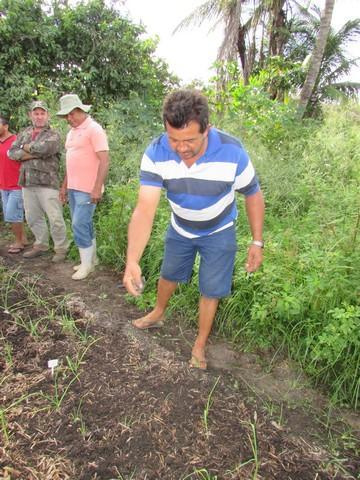 Projeto de Revitalização do Alho Realizou Capacitação - Imagem 47