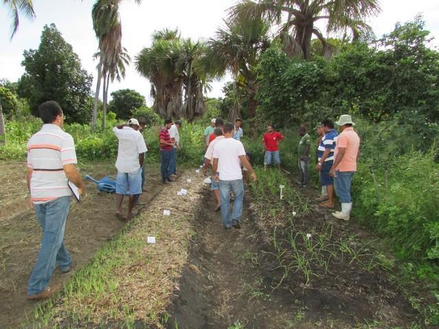 Projeto de Revitalização do Alho Realizou Capacitação - Imagem 43