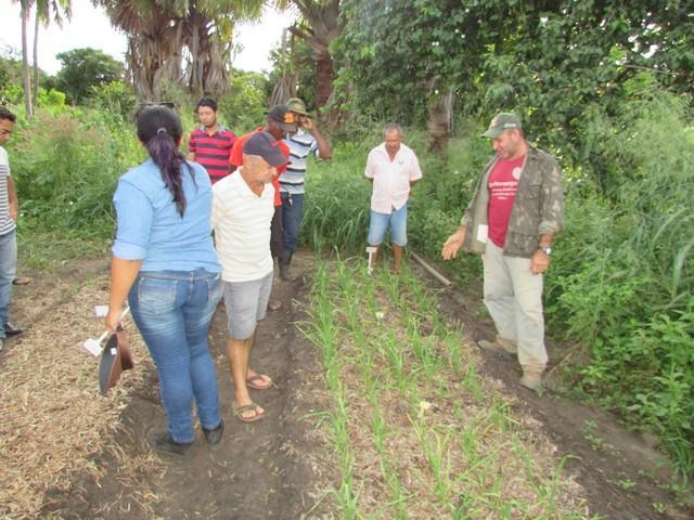 Projeto de Revitalização do Alho Realizou Capacitação - Imagem 30