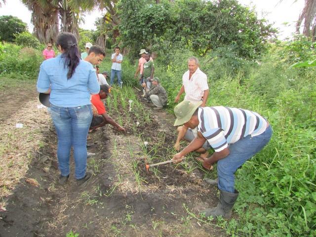 Projeto de Revitalização do Alho Realizou Capacitação - Imagem 41