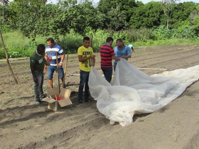 Projeto de Revitalização do Alho Realizou Capacitação - Imagem 81