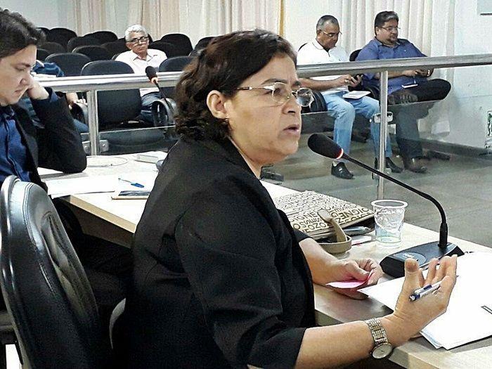 Redução do IPTU de Parnaíba em 30% é aprovada na Câmara - Imagem 2