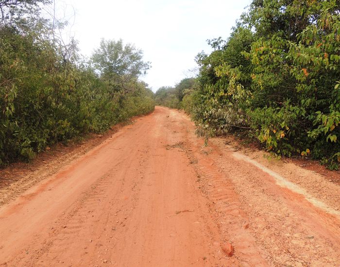 Município inicia recuperação de estrada na zona rural  - Imagem 3