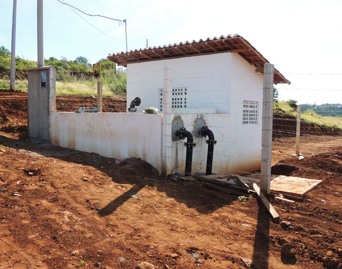 Jegue Pipa: antes em extinção, agora comum em Pedro II  - Imagem 15