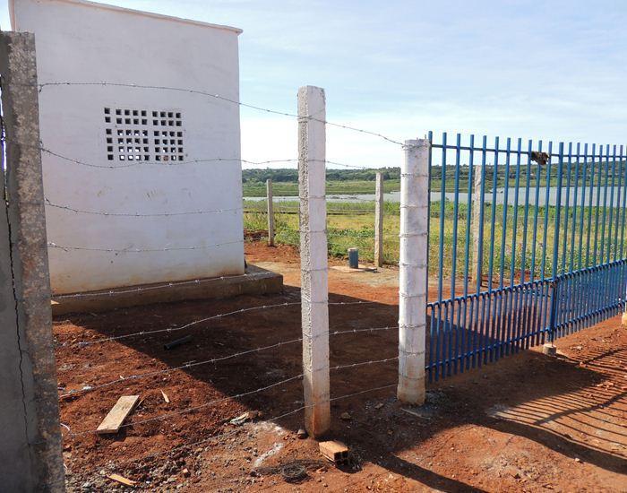 Jegue Pipa: antes em extinção, agora comum em Pedro II  - Imagem 16