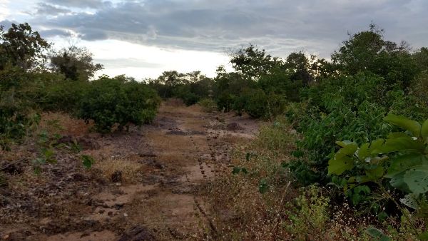 Prefeito continua com recuperação de estadas vicinais - Imagem 1