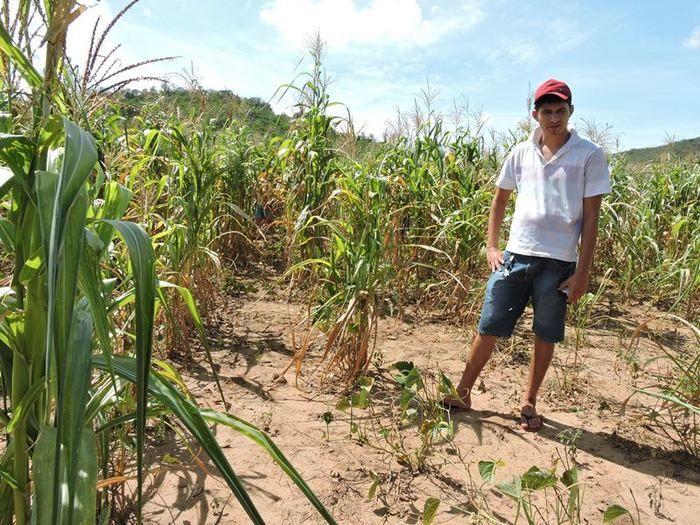 S. T. T. R de Pedro II trabalha para conquistar direitos da classe - Imagem 9