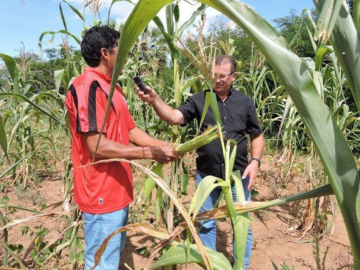 S. T. T. R de Pedro II trabalha para conquistar direitos da classe - Imagem 6