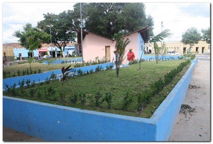 Prefeitura de Inhuma realiza implantação de grama em Praças  - Imagem 10