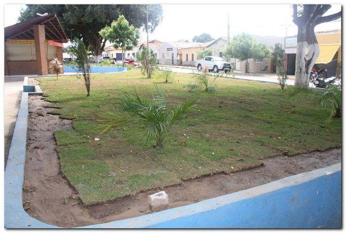 Prefeitura de Inhuma realiza implantação de grama em Praças  - Imagem 16