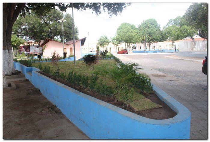 Prefeitura de Inhuma realiza implantação de grama em Praças  - Imagem 12