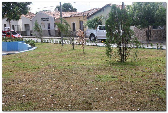 Prefeitura de Inhuma realiza implantação de grama em Praças  - Imagem 13