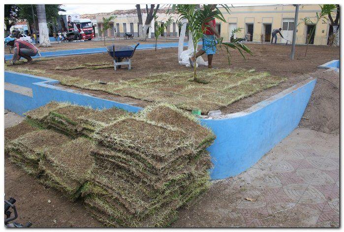 Prefeitura de Inhuma realiza implantação de grama em Praças  - Imagem 1