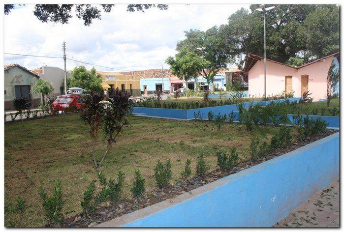 Prefeitura de Inhuma realiza implantação de grama em Praças  - Imagem 11