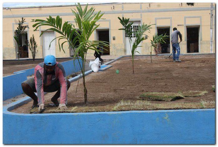 Prefeitura de Inhuma realiza implantação de grama em Praças  - Imagem 5