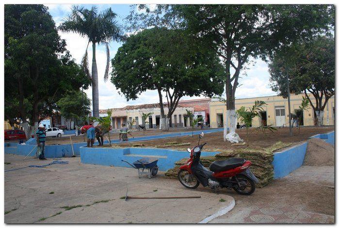 Prefeitura de Inhuma realiza implantação de grama em Praças  - Imagem 6