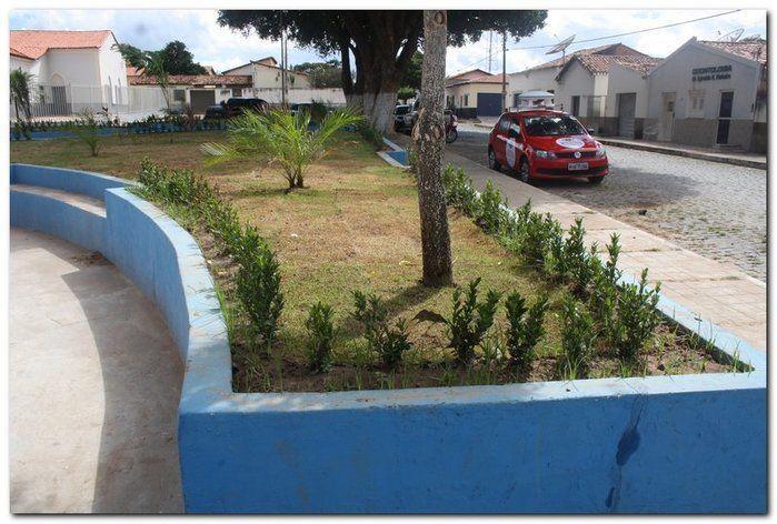 Prefeitura de Inhuma realiza implantação de grama em Praças  - Imagem 14