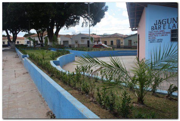 Prefeitura de Inhuma realiza implantação de grama em Praças  - Imagem 8