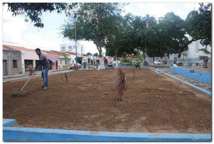 Prefeitura de Inhuma realiza implantação de grama em Praças  - Imagem 3