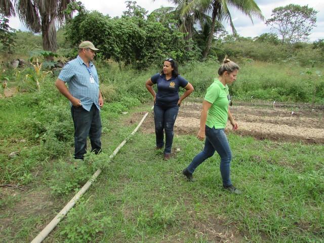 Equipe da EMBRAPA Brasília Realizou Visita Técnica em Ipiranga - Imagem 66