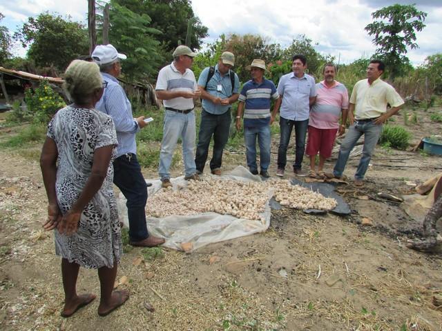 Equipe da EMBRAPA Brasília Realizou Visita Técnica em Ipiranga - Imagem 22