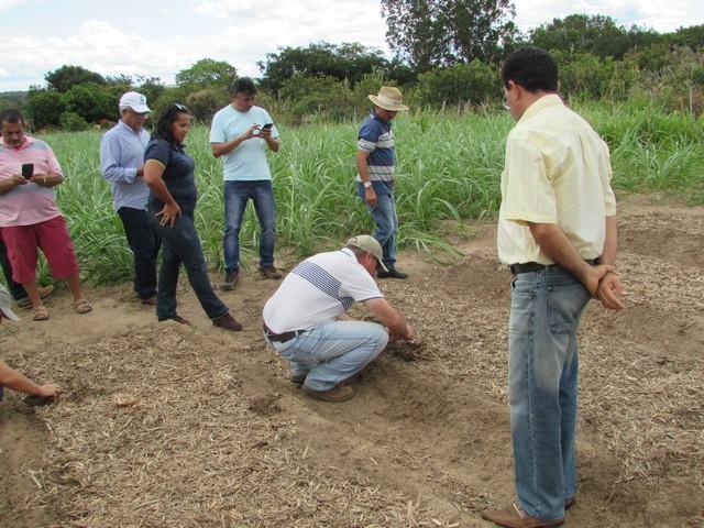 Equipe da EMBRAPA Brasília Realizou Visita Técnica em Ipiranga - Imagem 34