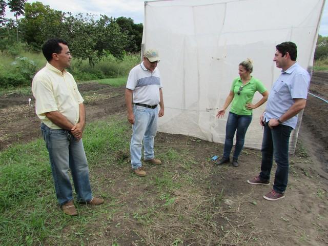 Equipe da EMBRAPA Brasília Realizou Visita Técnica em Ipiranga - Imagem 69