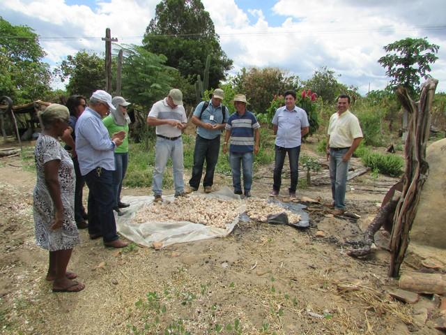 Equipe da EMBRAPA Brasília Realizou Visita Técnica em Ipiranga - Imagem 19