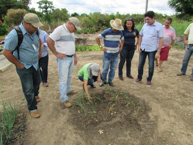 Equipe da EMBRAPA Brasília Realizou Visita Técnica em Ipiranga - Imagem 24