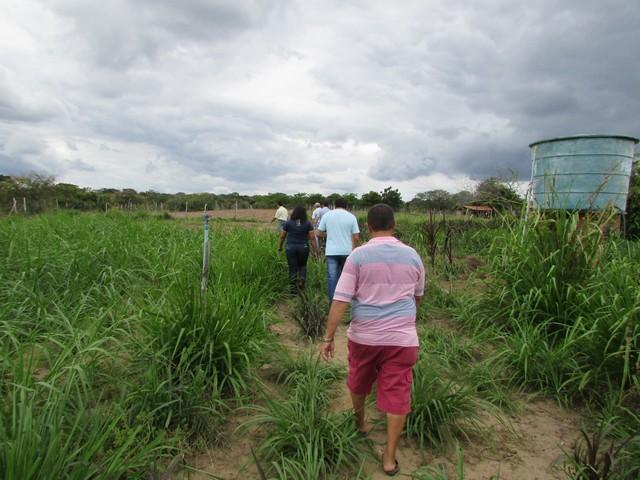 Equipe da EMBRAPA Brasília Realizou Visita Técnica em Ipiranga - Imagem 27