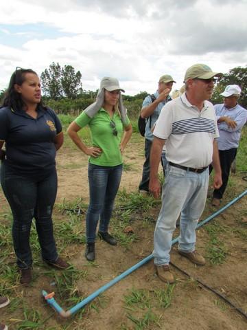 Equipe da EMBRAPA Brasília Realizou Visita Técnica em Ipiranga - Imagem 48